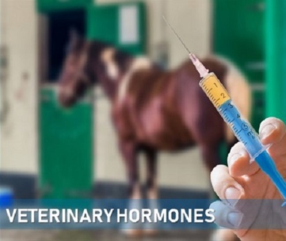 Veterinary Hormones, Purity : 100%