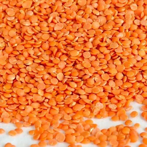 Common Organic Masoor Dal, for Cooking, Certification : FSSAI Certified