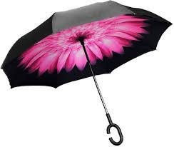 buy rain umbrella