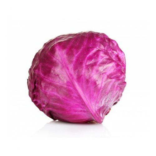 Fresh Red Cabbage, Shelf Life : 0-5days