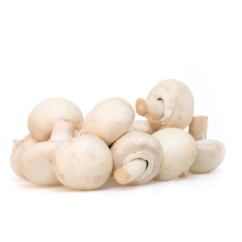 Organic Fresh White Mushroom, Packaging Type : Jute Bag, Plastic Bag