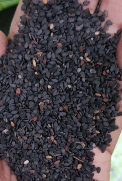 Double Skin Black Sesame Seeds