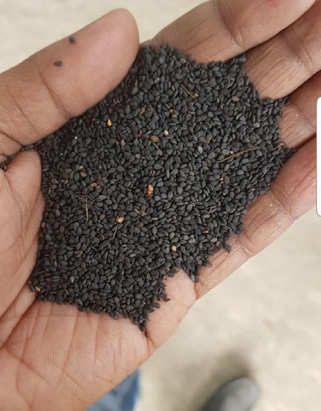 Small Black Sesame Seeds (Raw), for Agricultural, Making Oil, Packaging Type : Jut bag, Plastic Bag