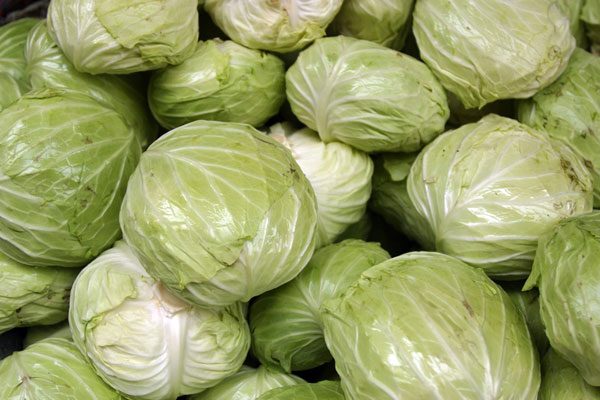 Round Organic Fresh Cabbage, Color : Green