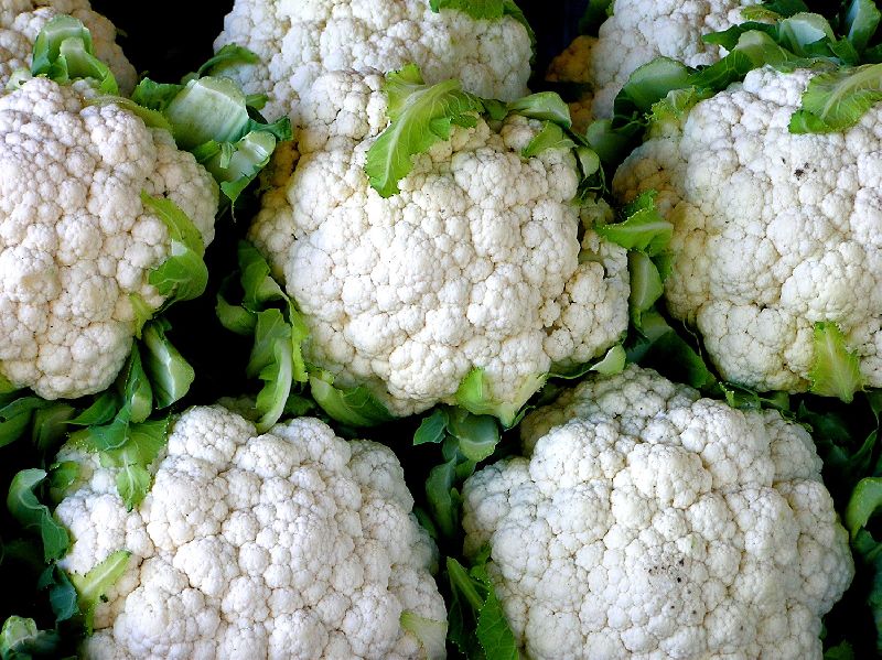 Fresh Cauliflower, Shelf Life : 0-5days