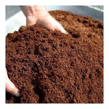 Coco Peat By Mk Resources Coco Peat Usd 400 Metric Ton Approx Id 5031410