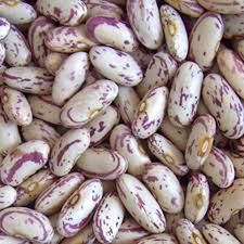 light speckled kidney beans