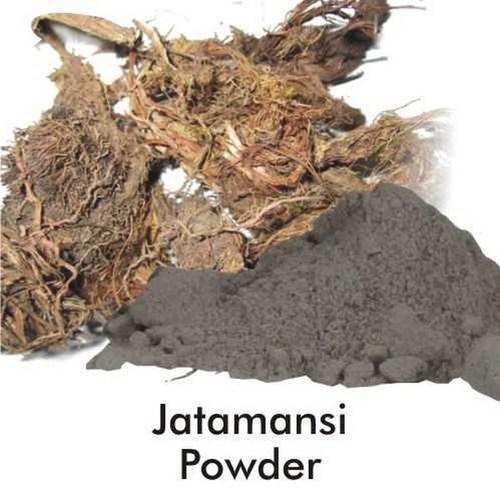 Jatamansi Powder, for Anti-spasmodic, Aromatherapy, Carminative, Diuretic, Memory Booster, Packaging Type : Plastic Bag