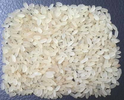 Soft Organic Swarna Non Basmati Rice, Variety : Long Grain, Medium Grain, Short Grain