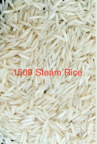 1509 Steam Rice