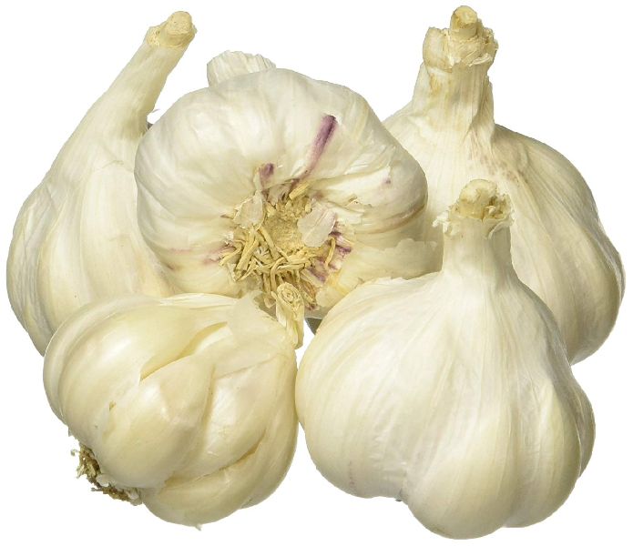 Fresh Organic Garlic, for Cooking, Fast Food, Snacks, Quality Available : B Grade