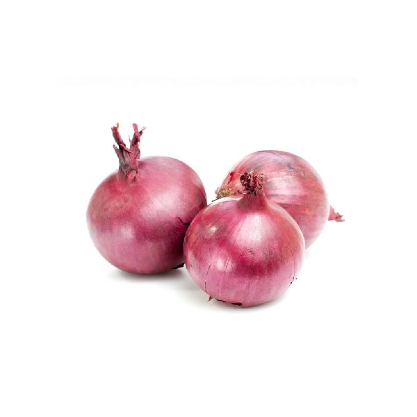 Organic Onion