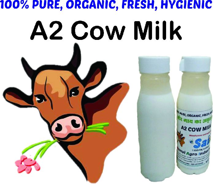 A2 Gir Cow Milk, Purity : 100%