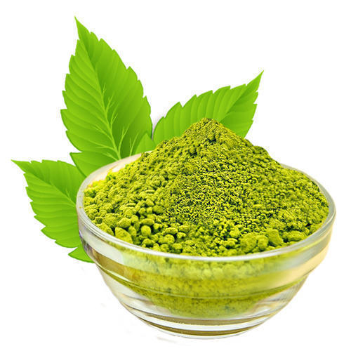 Organic Tulsi Leaf Powder, for Medicinal, Certification : FSSAI