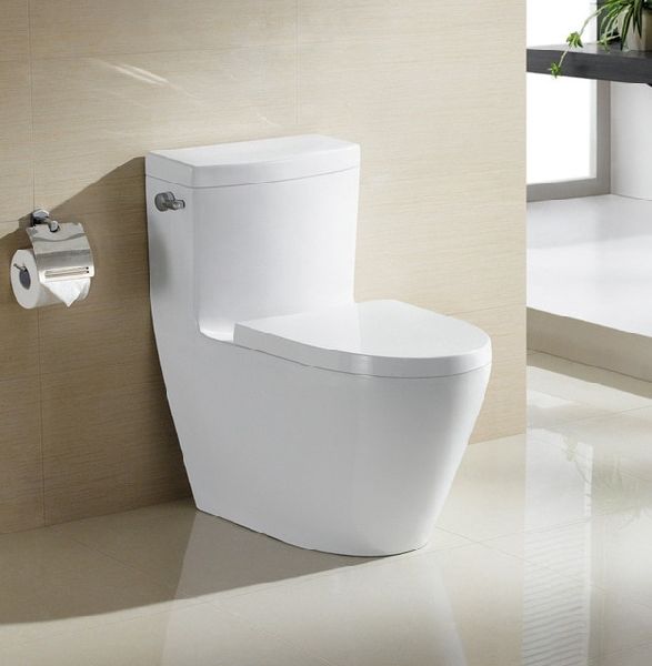 Ceramic Water Closet