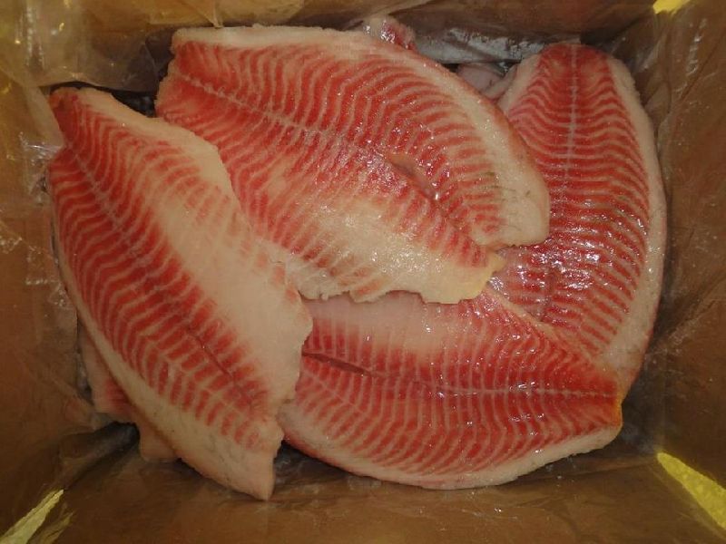 Frozen Tilapia Fish Fillet