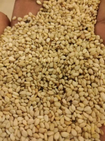 Natural Sudanese White Sesame Gadaref Type, Purity : 99%