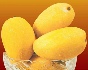 Common Fresh Chaunsa Mango, for Direct Consumption, Food Processing, Juice Making, Taste : Delicious Sweet