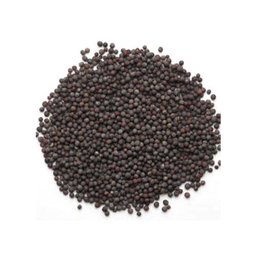 Organic black mustard seeds, Packaging Type : Jute Bag, Plastic Bag