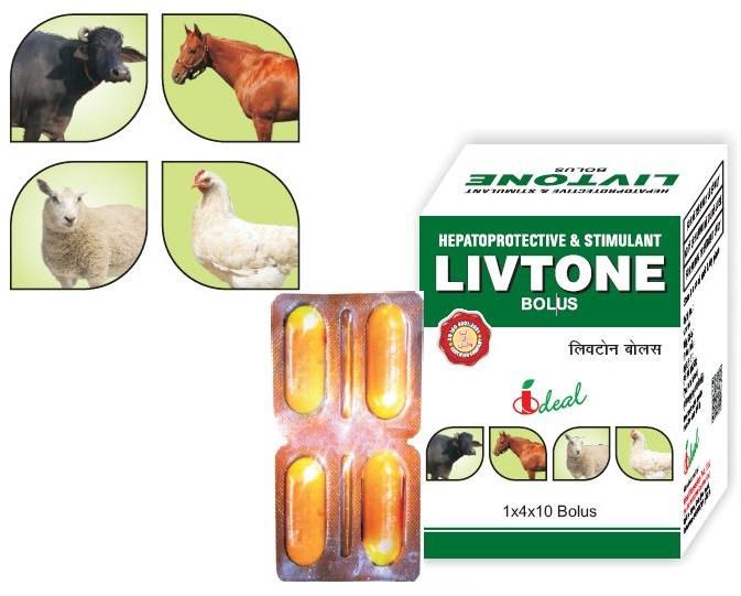 Livtone Bolus Animal Feed Supplement