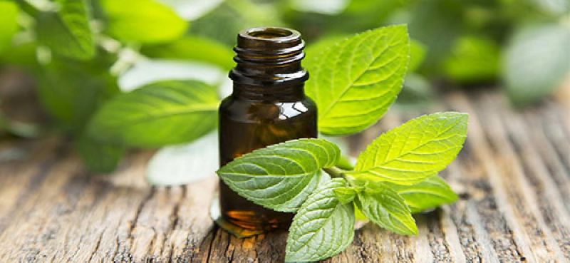 Mentha Arvensis Oil, Shelf Life : 2 Years