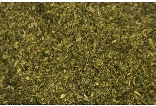 Cassia Alata Leaves T - Cut, for Ayurvedic Medicine