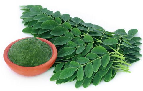 Organic Moringa Leaves, For Cosmetics, Medicine, Feature : Good Quality, Highly Effective