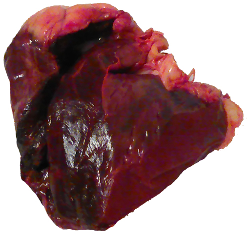 Buffalo Heart, Feature : Healthy To Eat