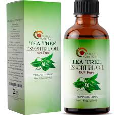 Tea Tree Oil, for Cosmetics, Packaging Type : Plastic Cane, Tin, Bottle, Box