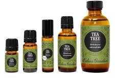 Tea Tree Oil, for Cosmetics, Flavour, Pharmaceuticals, Spa, Medicine, Medicine, Purity : 100% Pure