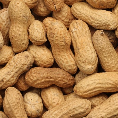 roasted peanuts