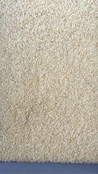 Organic sona masoori rice, for Human Consumption, Feature : Gluten Free, High In Protein