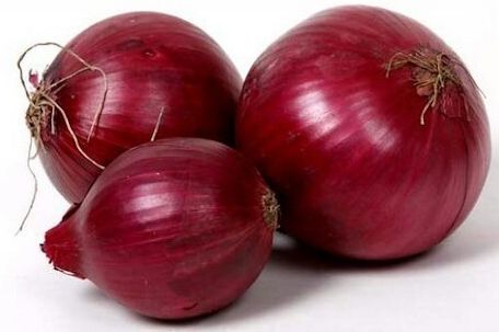 Fresh Big Onion