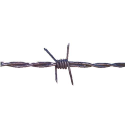 Mild Steel Barbed Wire, INR 60 / Kilogram by Shark Steels from Kangra