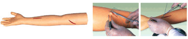 Surgical Suture Arm Model