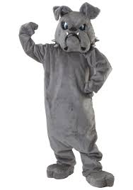 Cotton Mascot Costume, Certification : ISO 9001:2008 Certified