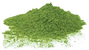 Common Barley Grass Powder, Packaging Type : Gunny Bag, Jute Bag, Plastic Bag, PP Bag