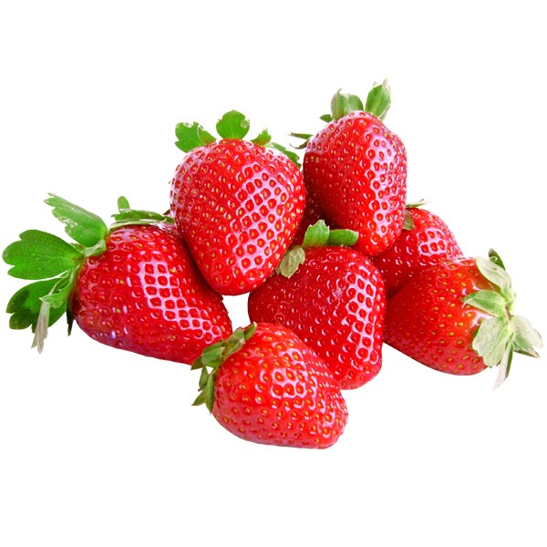 Organic fresh strawberry, Freezing Process : Cold Storage