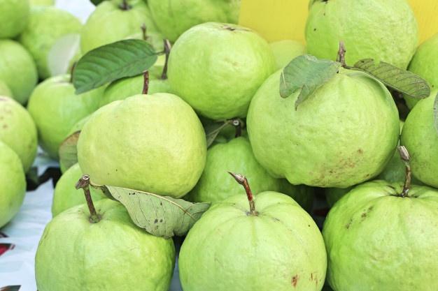 Common Fresh Guava, Specialities : Good For Health, Good For Nutritions