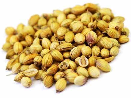 Organic coriander seeds