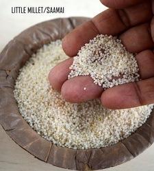 Little Millet, Style : Dried