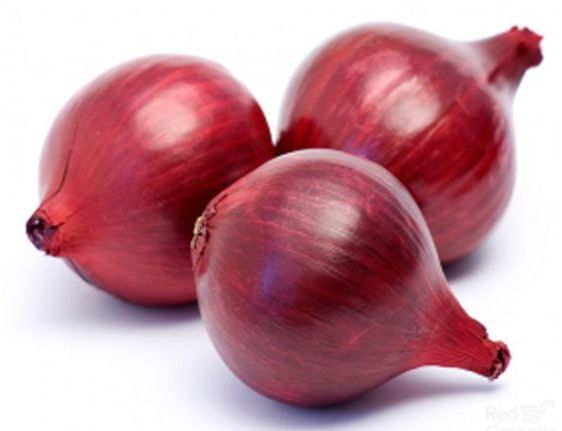 Oval Organic fresh red onion, for Human Consumption, Style : Natural