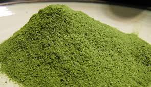 Moringa Seed Powder