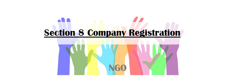 NGO Registration Service