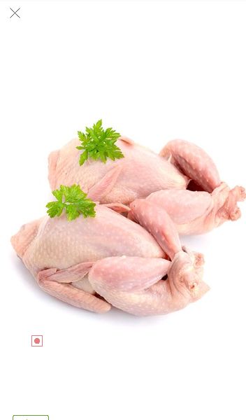 quail meat by Meat house, quail meat, fresh Quail Meat, INR 300