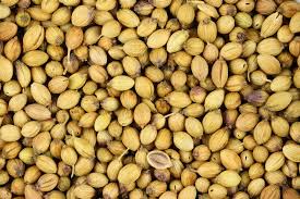 Organic Natural Coriander Seeds, for Cooking, Color : Brown