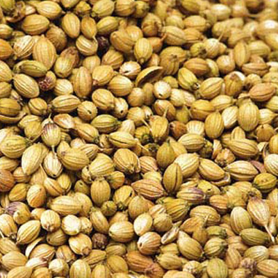 Organic Raw Coriander Seeds, for Cooking, Color : Brown