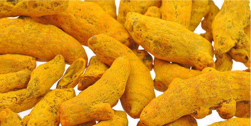 Raw Turmeric Finger, Color : Yellow