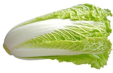 Organic Fresh Chinese Cabbage, Packaging Size : 20-30kg