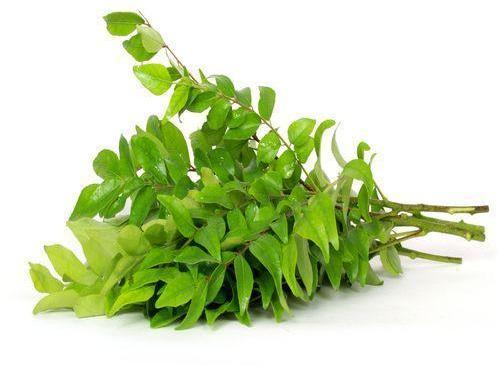 Organic Fresh Curry Leaves